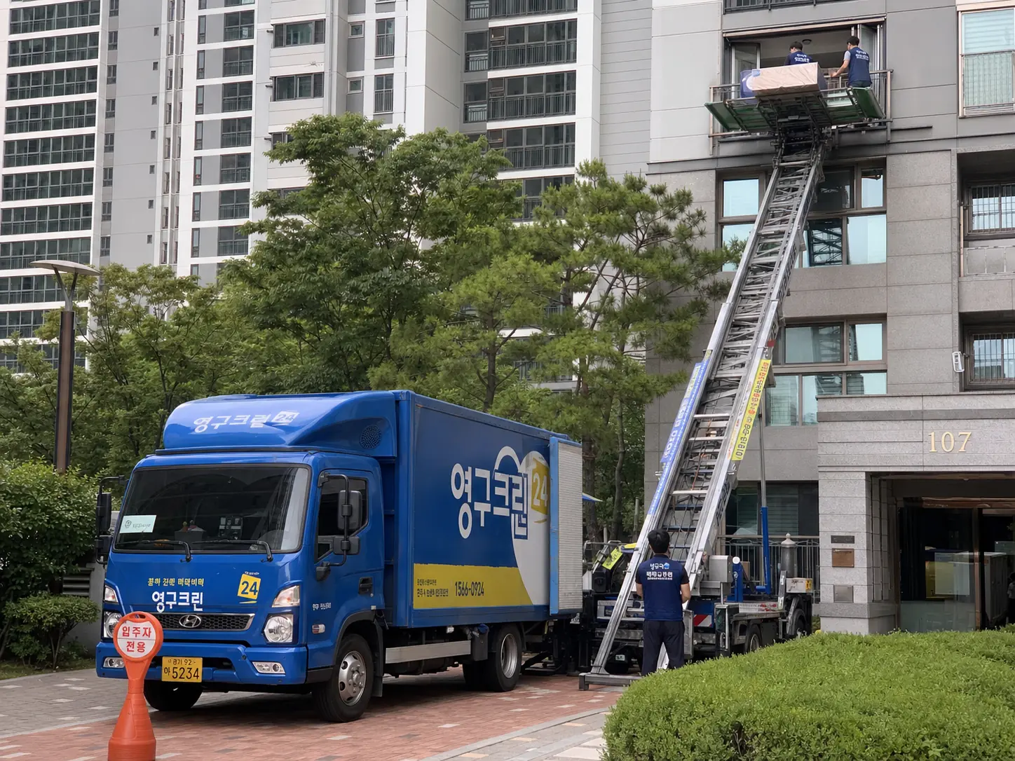 투명한견적